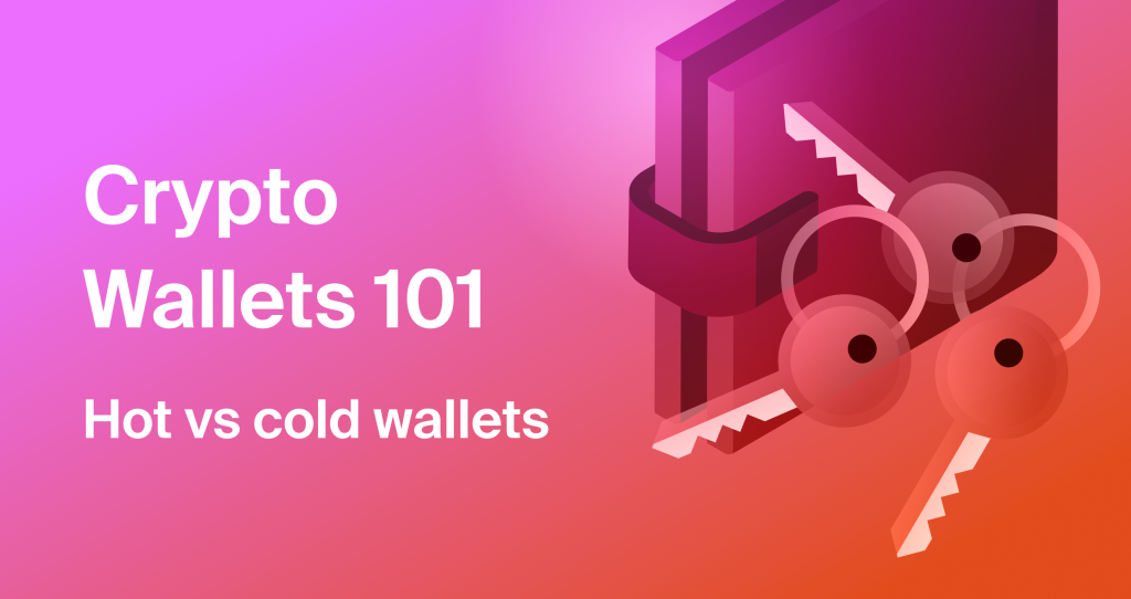 cold vs hot wallet crypto