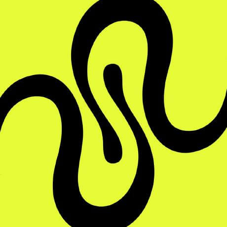 0xsquid logo