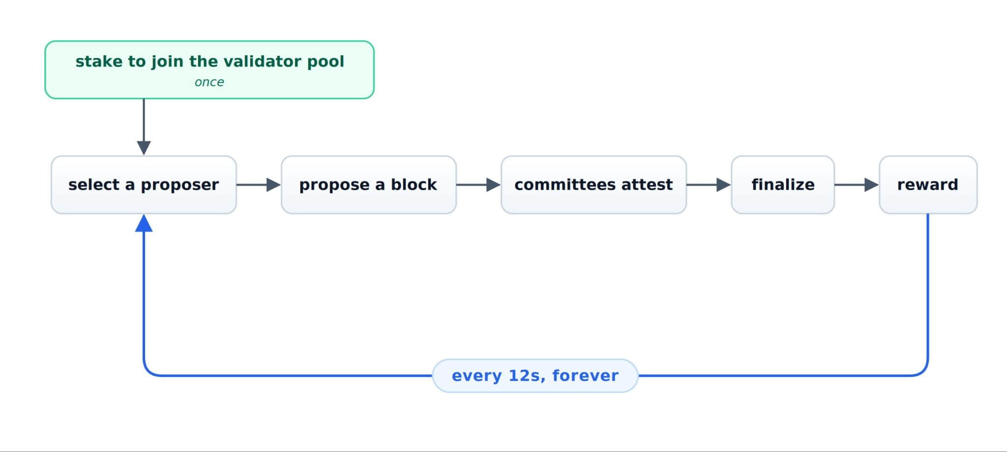 Ethereum proof of stake lifecycle: stake once to join the validator pool, then select a proposer, propose a block, committees attest, finalize, and reward — repeating every 12 seconds