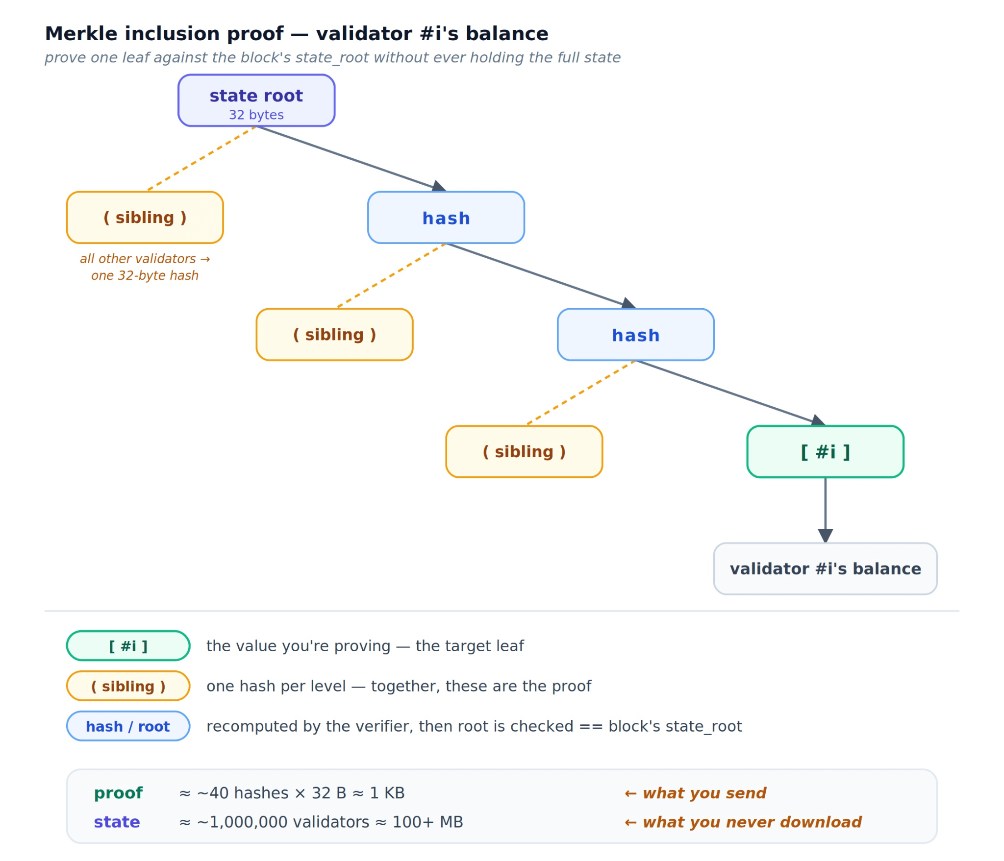 SSZ Merkle inclusion proof showing how validator #i's balance is proved against the 32-byte state root using ~40 sibling hashes (~1 KB), instead of downloading the full 100+ MB beacon state