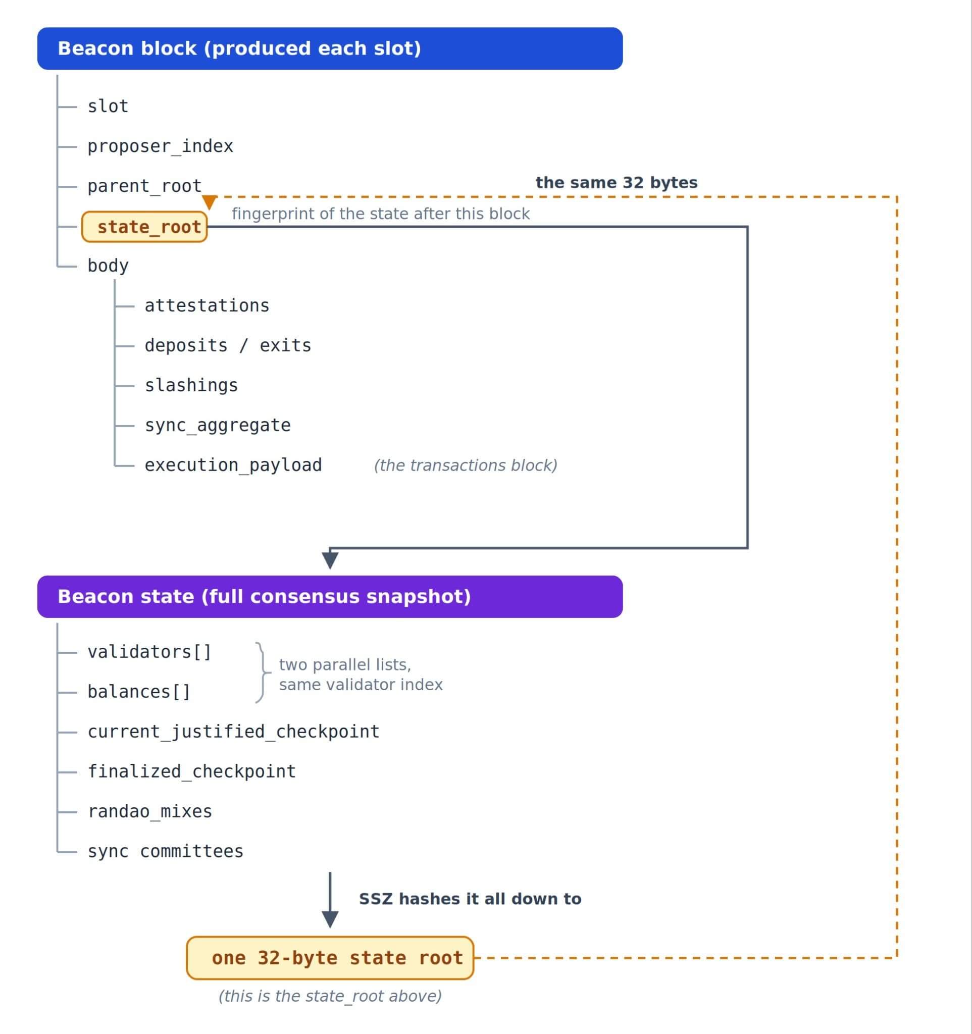 Ethereum consensus data structures: beacon block fields (slot, proposer index, state root, body) linking to beacon state fields (validators, balances, checkpoints, RANDAO), all hashing down to one 32-byte state root via SSZ