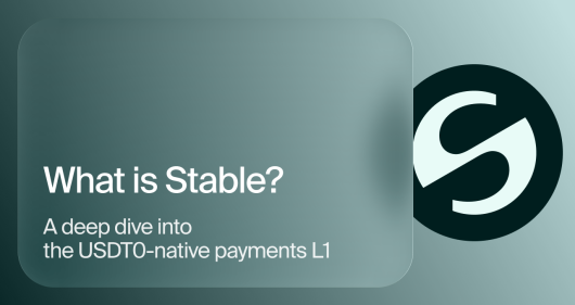 What Is Stable 1 530x281 logo